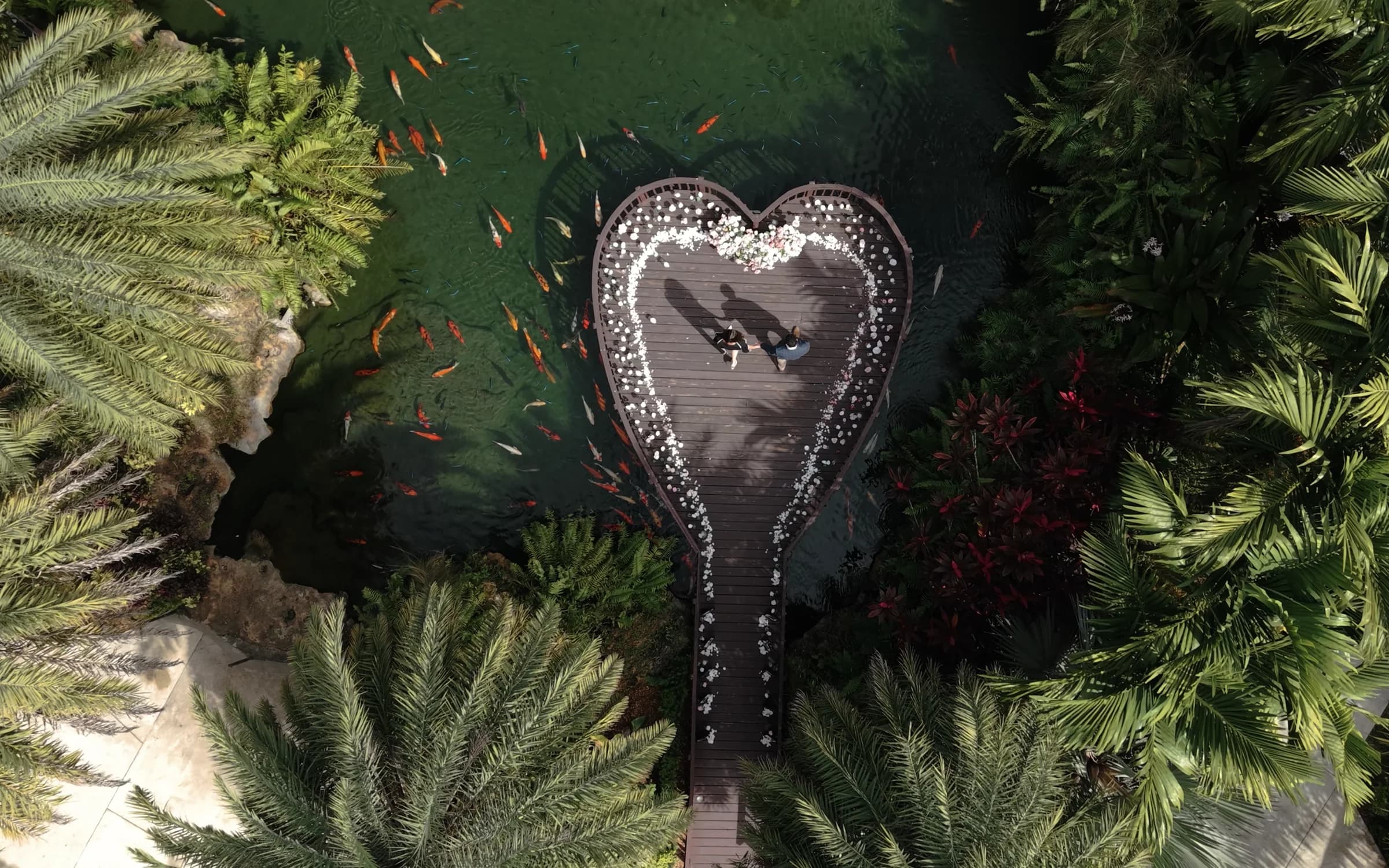 Beshoy and Jermana from above, standing on a heart-shaped dock ringed with flowers over a koi pond